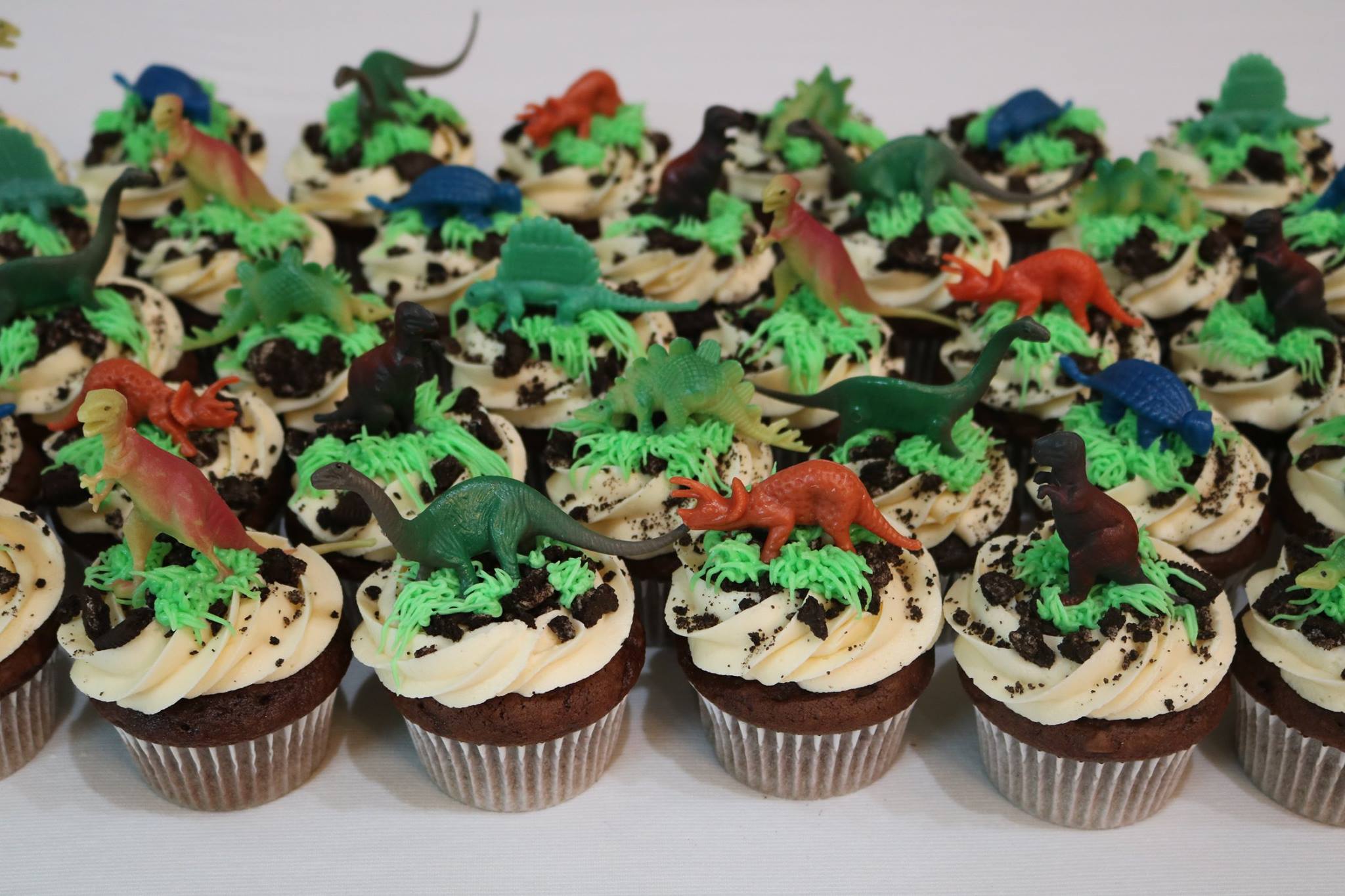 Dinosaur Cupcakes Rexburg Cakes