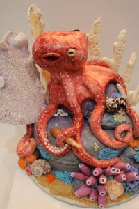 Octopus Cake beauty Shot