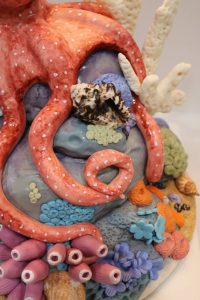 Octopus Cake Details