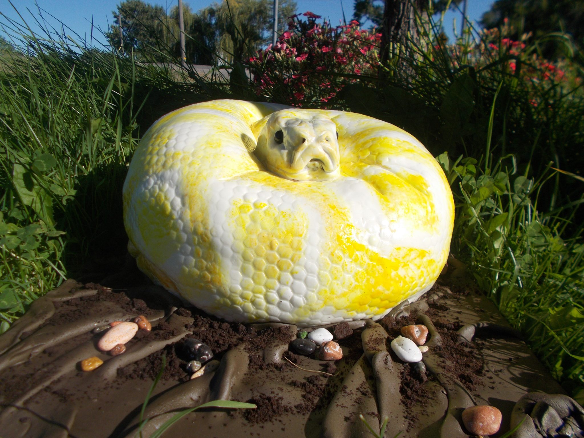 Life Size Burmese Python Cake – Rexburg Cakes